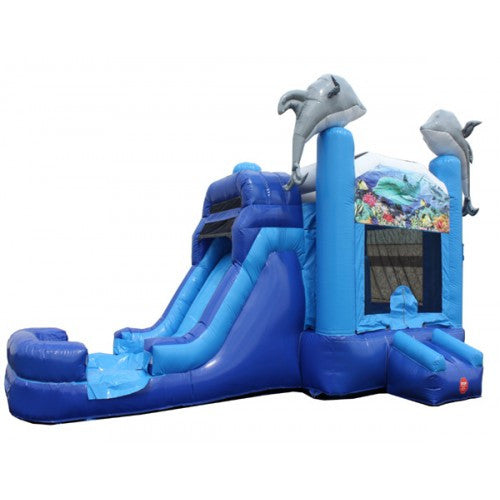 Dolphin Combo Wet n Dry-040