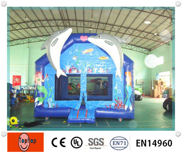 inflatable bouncer-04